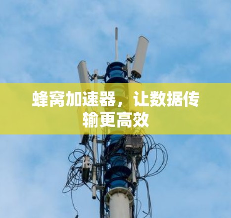 蜂窝加速器,让数据传输更高效 蜂窝加速器,让数据传输更高效