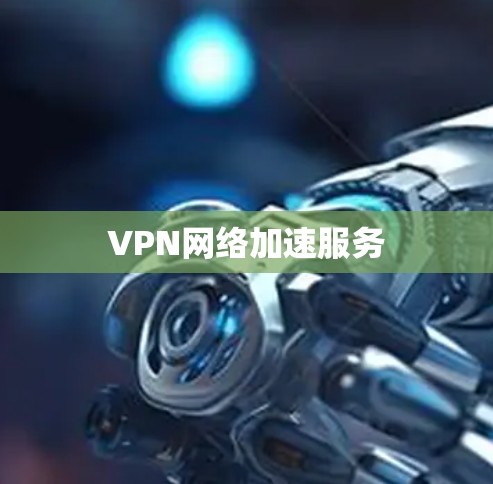 VPN网络加速服务