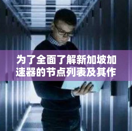 为了全面了解新加坡加速器的节点列表及其作用，以下是一个结构化的总结
