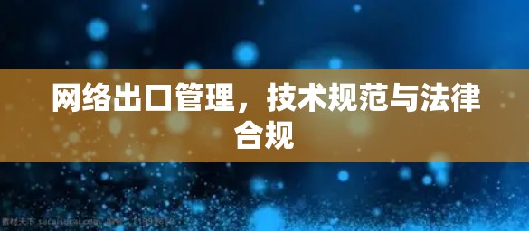 网络出口管理，技术规范与法律合规