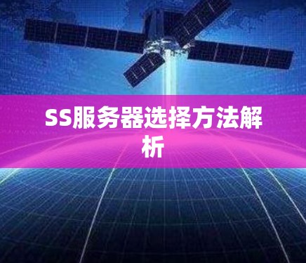 SS服务器选择方法解析