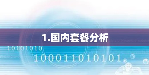 1.国内套餐分析