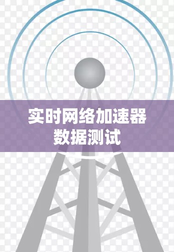 实时网络加速器数据测试