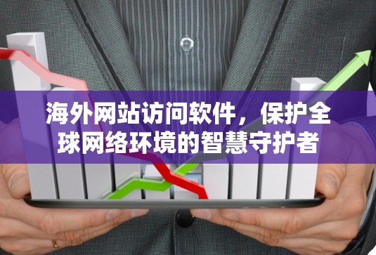 海外网站访问软件，保护全球网络环境的智慧守护者