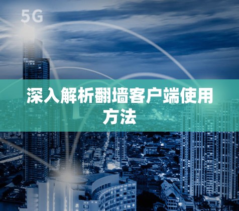 深入解析翻墙客户端使用方法
