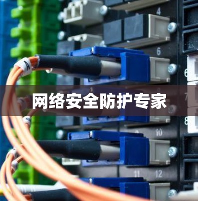网络安全防护专家