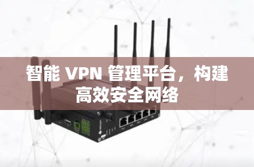 智能 VPN 管理平台，构建高效安全网络