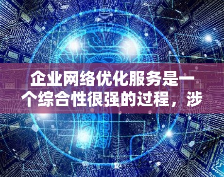 企业网络优化服务是一个综合性很强的过程，涉及多个方面，旨在提高网络运营效率、降低成本并增强网络安全性。以下是对该领域的一些详细总结和分点说明