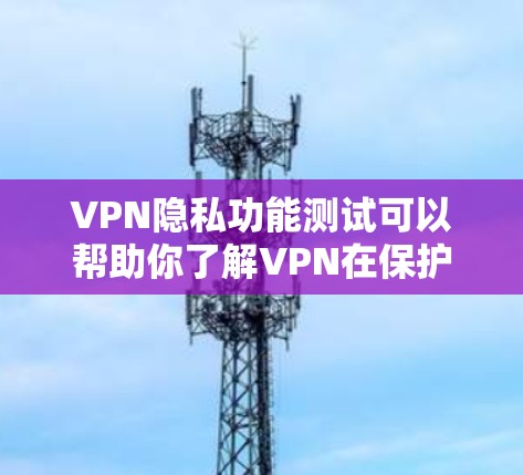 VPN隐私功能测试可以帮助你了解VPN在保护网络资源和用户隐私方面的表现。以下是测试VPN隐私功能的步骤和方法
