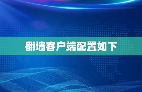 翻墙客户端配置如下
