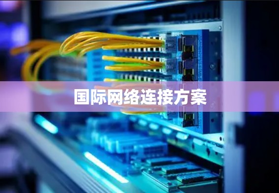 国际网络连接方案
