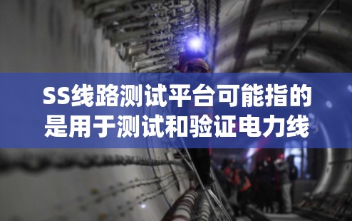 SS线路测试平台可能指的是用于测试和验证电力线路系统的软件或设备。以下是一些可能相关的平台或工具