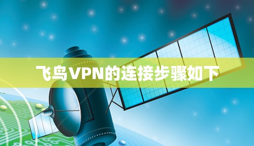 飞鸟VPN的连接步骤如下 飞鸟VPN的连接步骤如下