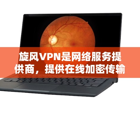 旋风VPN是网络服务提供商,提供在线加密传输数据的服务,如视频、文件或消息。以下是使用旋风VPN的步骤和教程 旋风VPN是网络服务提供商,提供在线加密传输数据的服务,如视频、文件或消息。以下是使用旋风VPN的步骤和教程
