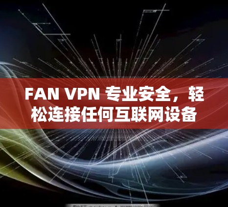 FAN VPN 专业安全,轻松连接任何互联网设备 FAN VPN 专业安全,轻松连接任何互联网设备