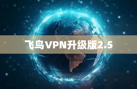 飞鸟VPN升级版2.5 飞鸟VPN升级版2.5