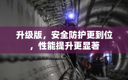 升级版,安全防护更到位,性能提升更显著 升级版,安全防护更到位,性能提升更显著