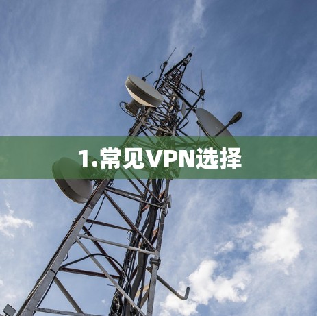 1.常见VPN选择 1.常见VPN选择