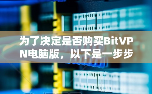 为了决定是否购买BitVPN电脑版,以下是一步步的建议 为了决定是否购买BitVPN电脑版,以下是一步步的建议