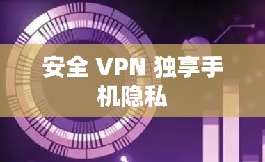 安全 VPN 独享手机隐私