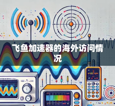 飞鱼加速器的海外访问情况 飞鱼加速器的海外访问情况