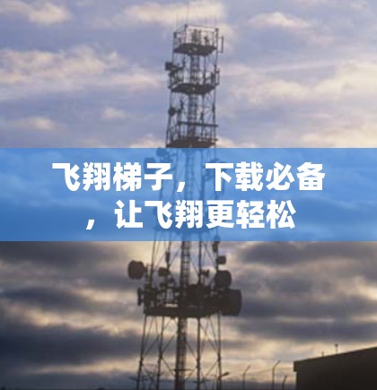 飞翔梯子,下载必备,让飞翔更轻松 飞翔梯子,下载必备,让飞翔更轻松