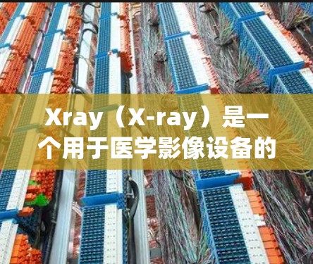 Xray(X-ray)是一个用于医学影像设备的软件工具,主要用于进行X射线扫描、医学检查、教学和研究等。以下是关于如何配置Xray的步骤说明 Xray(X-ray)是一个用于医学影像设备的软件工具,主要用于进行X射线扫描、医学检查、教学和研究等。以下是关于如何配置Xray的步骤说明