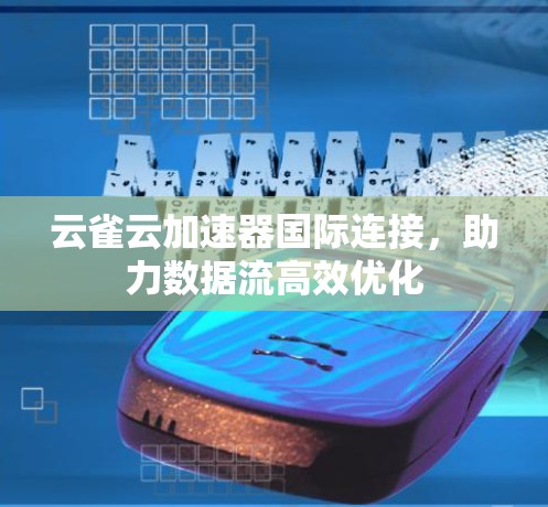 云雀云加速器国际连接,助力数据流高效优化 云雀云加速器国际连接,助力数据流高效优化
