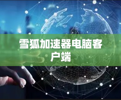 雪狐加速器电脑客户端 雪狐加速器电脑客户端