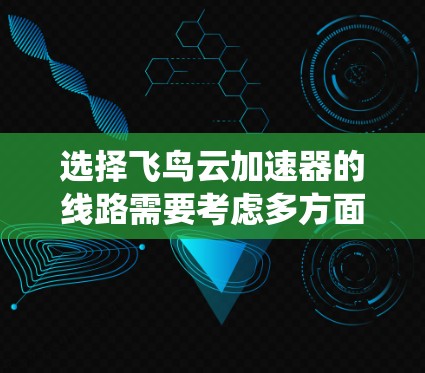 选择飞鸟云加速器的线路需要考虑多方面因素，以下是一个系统化的步骤指南