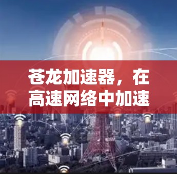 苍龙加速器，在高速网络中加速数据传输