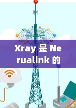 Xray 是 Nerualink 的节点管理工具,主要用于在电子显微镜系统中管理节点之间的连接和交互。以下是如何使用 Xray 管理节点的步骤和功能 Xray 是 Nerualink 的节点管理工具,主要用于在电子显微镜系统中管理节点之间的连接和交互。以下是如何使用 Xray 管理节点的步骤和功能