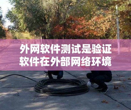 外网软件测试是验证软件在外部网络环境下的表现,涉及多个步骤和工具。以下是一个结构化的总结 外网软件测试是验证软件在外部网络环境下的表现,涉及多个步骤和工具。以下是一个结构化的总结