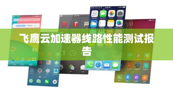 飞鹰云加速器线路性能测试报告